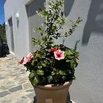 Afroditi, Skiathos, Kalivia, Greece Βίλα