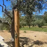 Βίλα Afroditi, Skiathos, Kalivia, Greece *