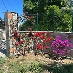 Afroditi, Skiathos, Kalivia, Greece Βίλα Σκιάθος Πόλη