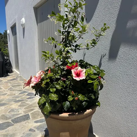 Afroditi, Skiathos, Kalivia, Greece 别墅