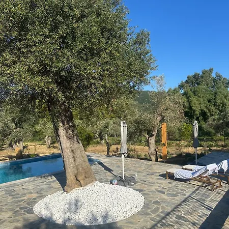 Afroditi, Skiathos, Kalivia, Greece مدينة سكياثوس