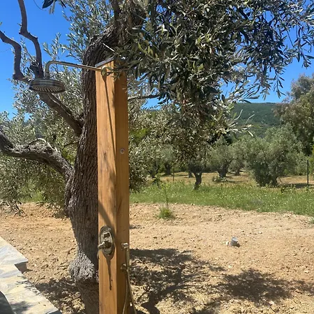 فيلة Afroditi, Skiathos, Kalivia, Greece *