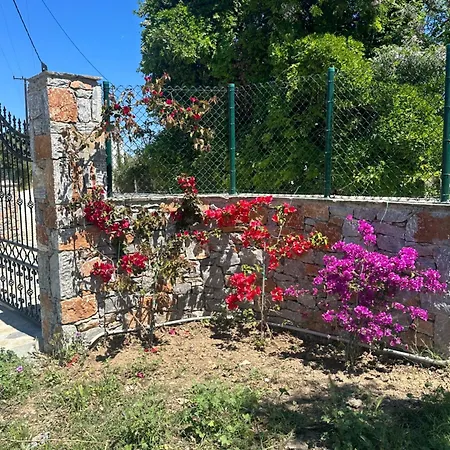 Afroditi, Skiathos, Kalivia, Greece Villa Skiathos Chora