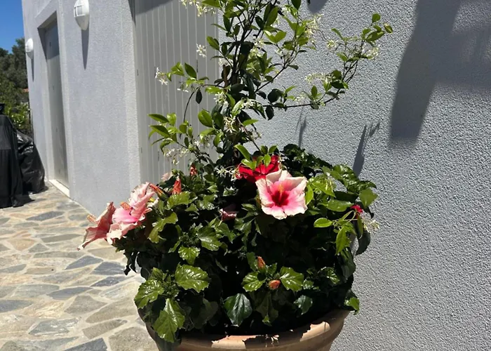 Afroditi, Skiathos, Kalivia, Greece וילה