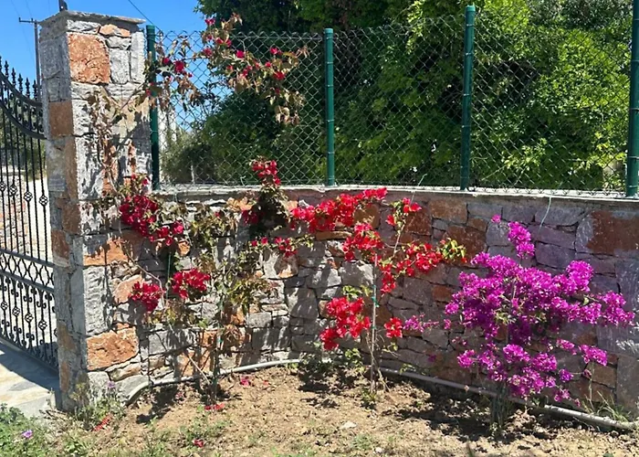 Afroditi, Skiathos, Kalivia, Greece וילה העיירה סקיאתוס